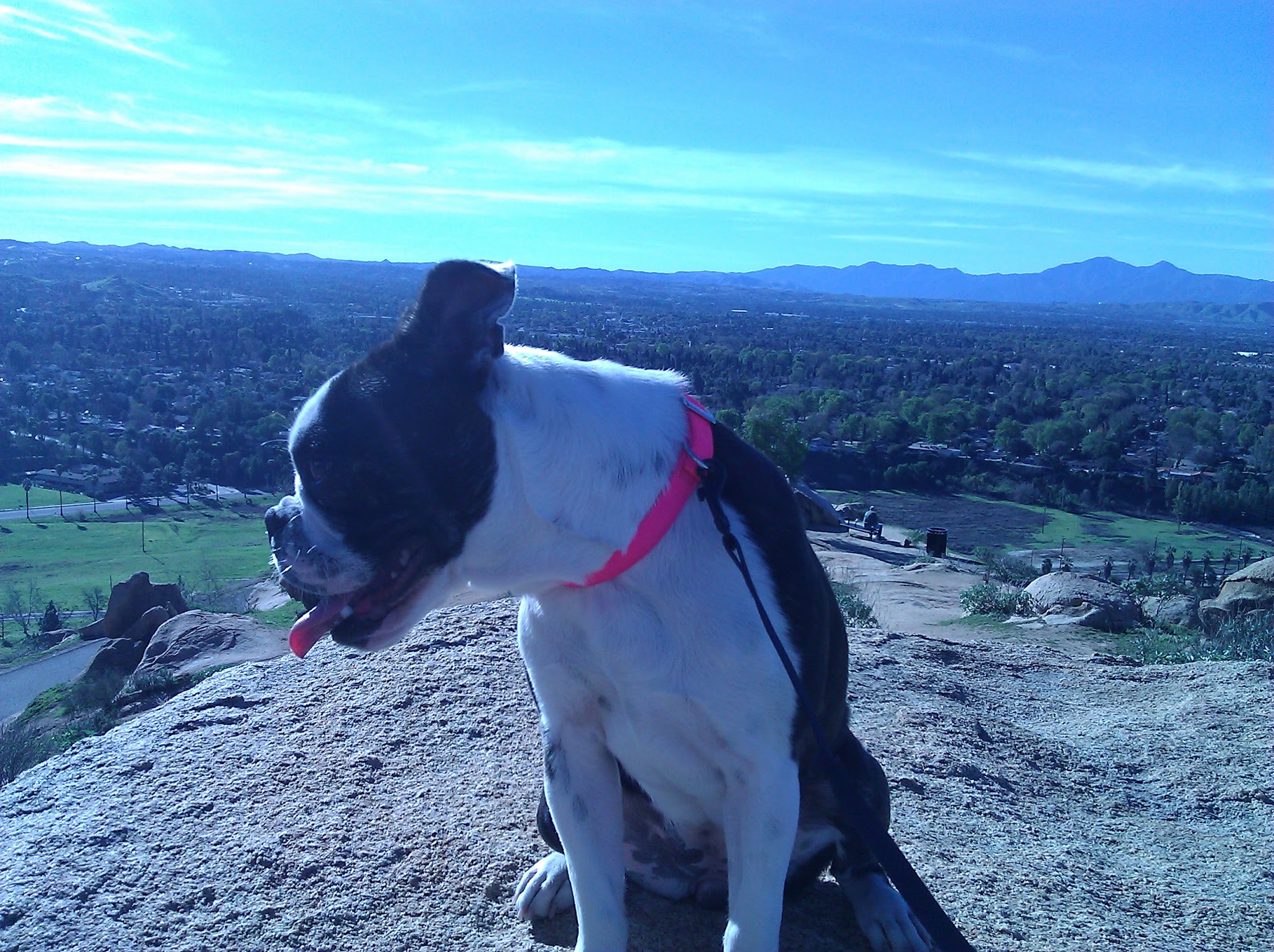 Hero image for Little Lucy